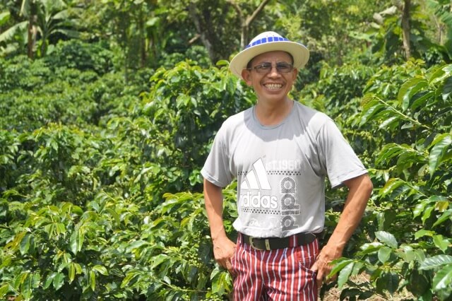 New Coffee Releases