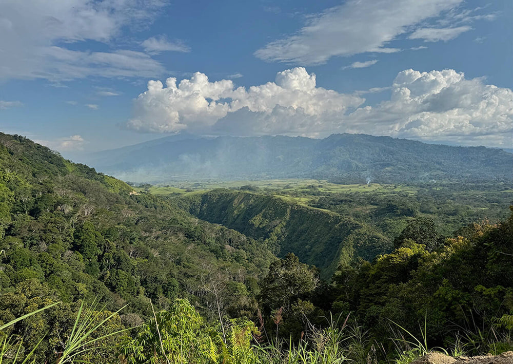 PNG Sourcing Trip