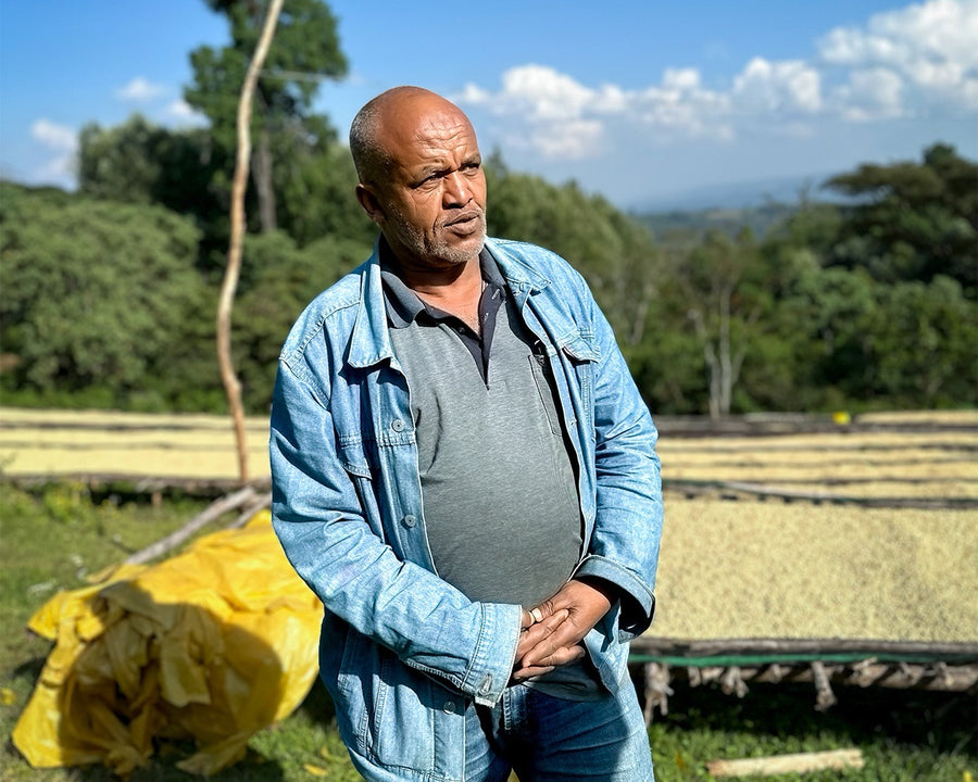 Ethiopia Musa Abalulesa Honey