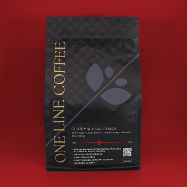 Guatemala San Carlos (House Roast)