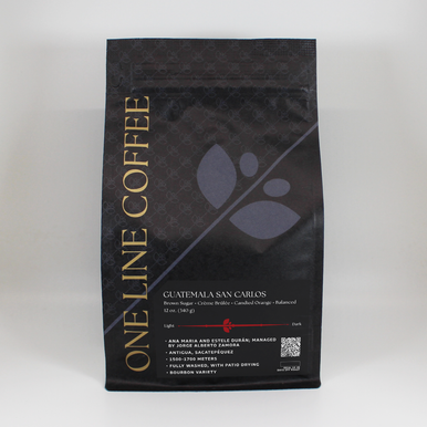 Guatemala San Carlos (House Roast)-Cold Brew