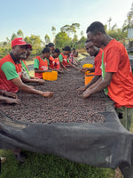 Ethiopia Bochessa