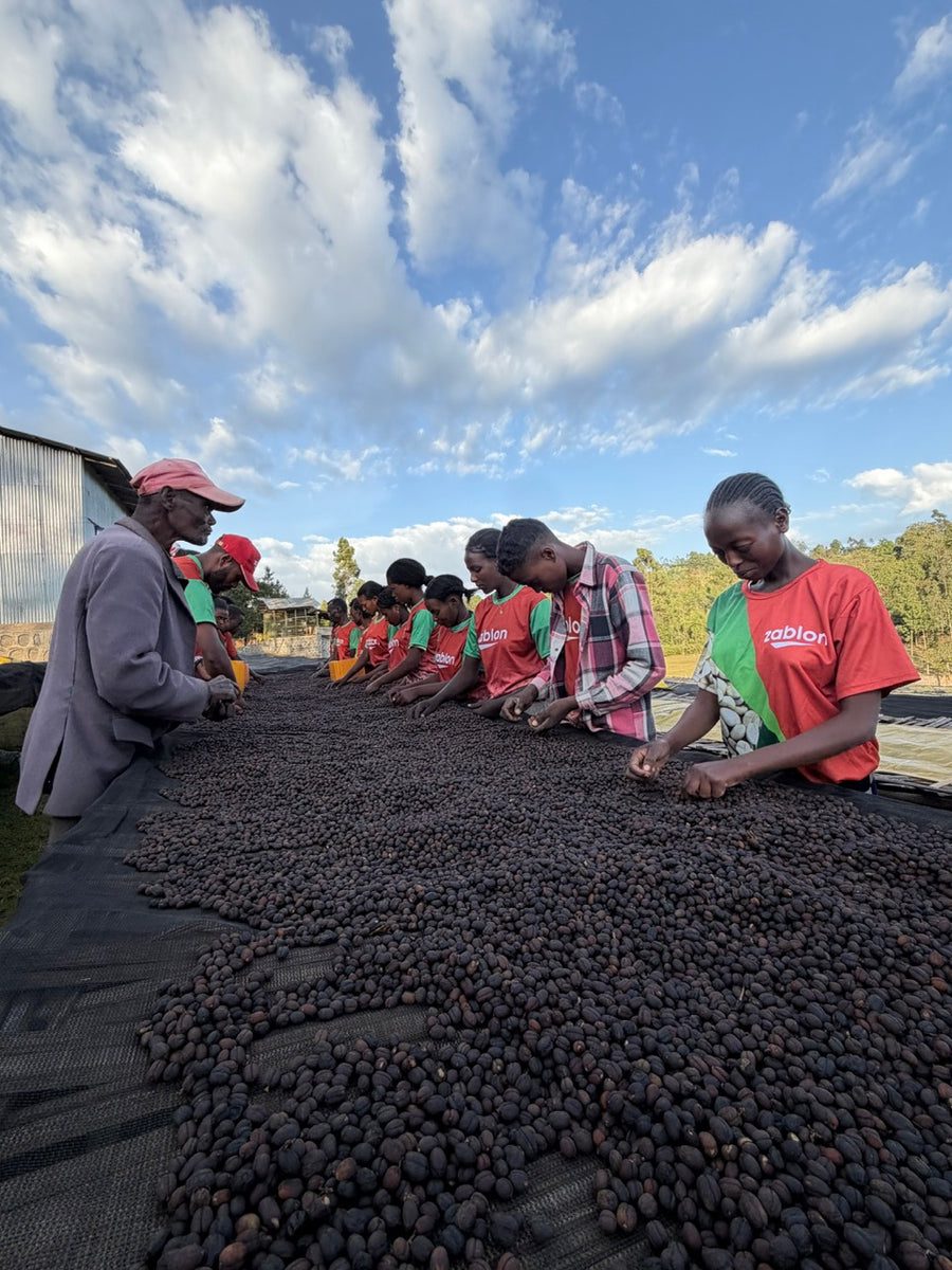 Ethiopia Bochessa