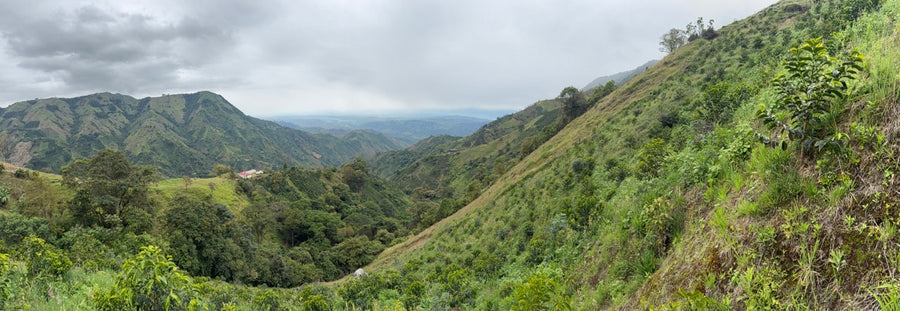 Colombia La Hormiga
