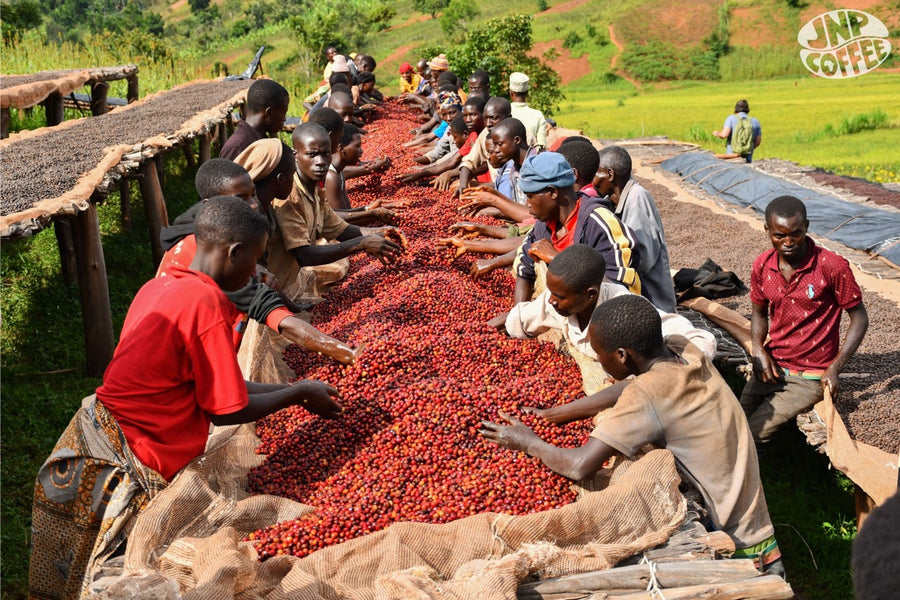 Burundi Hafi